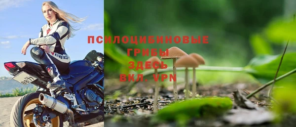 герыч Алзамай